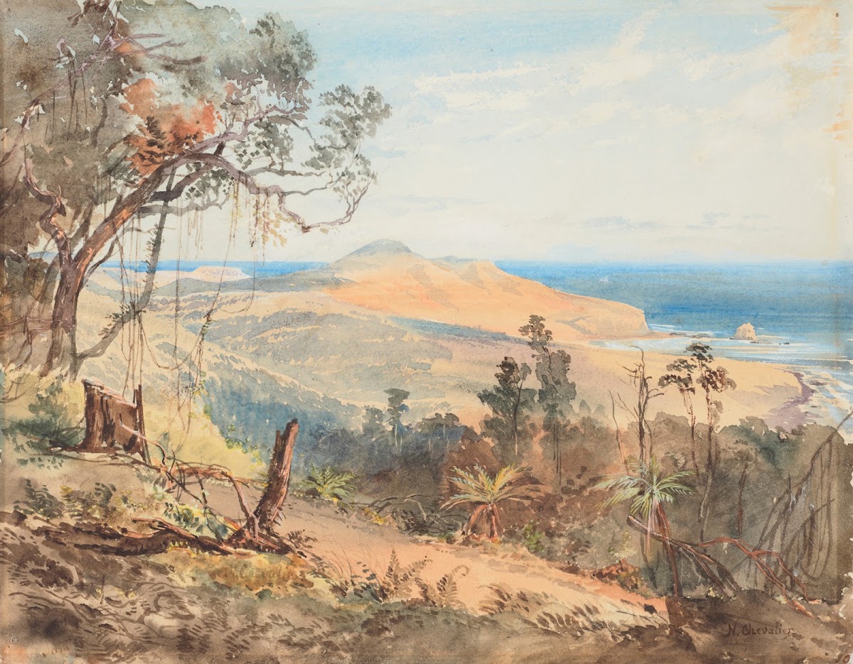 Sandfly Bay and Gull Rock near Dunedin 1865