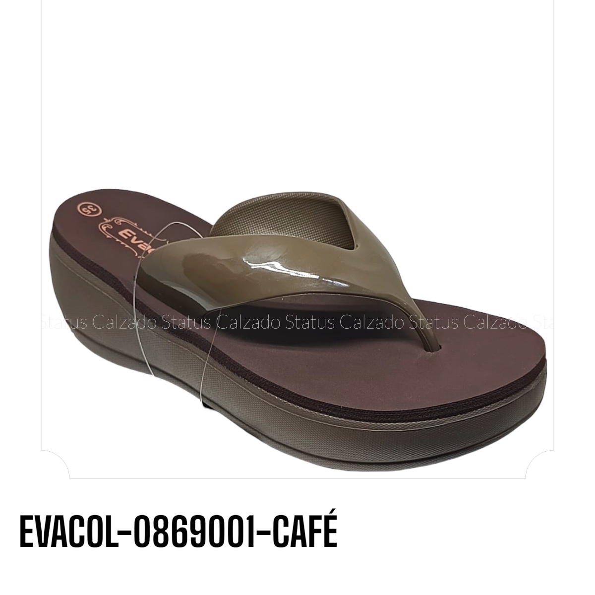 EVACOL-0869001-CAFÉ