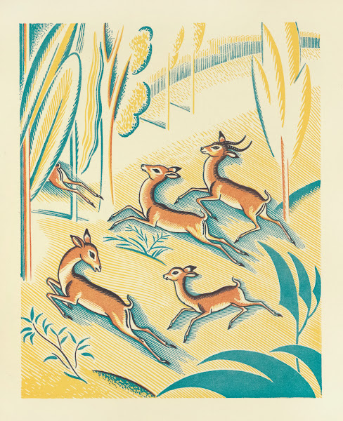 A Jungle Picnic Pl01 1934