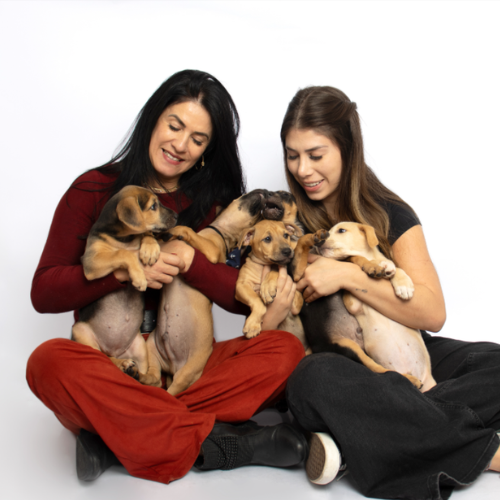 Monica e Isabella com filhotes — Projeto Vira-lar
