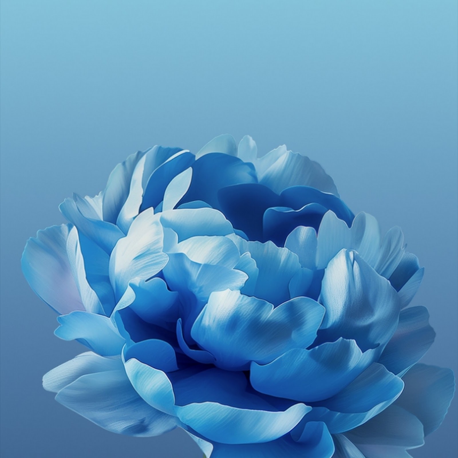 Download Blooming Blue Peony Flower iPhone