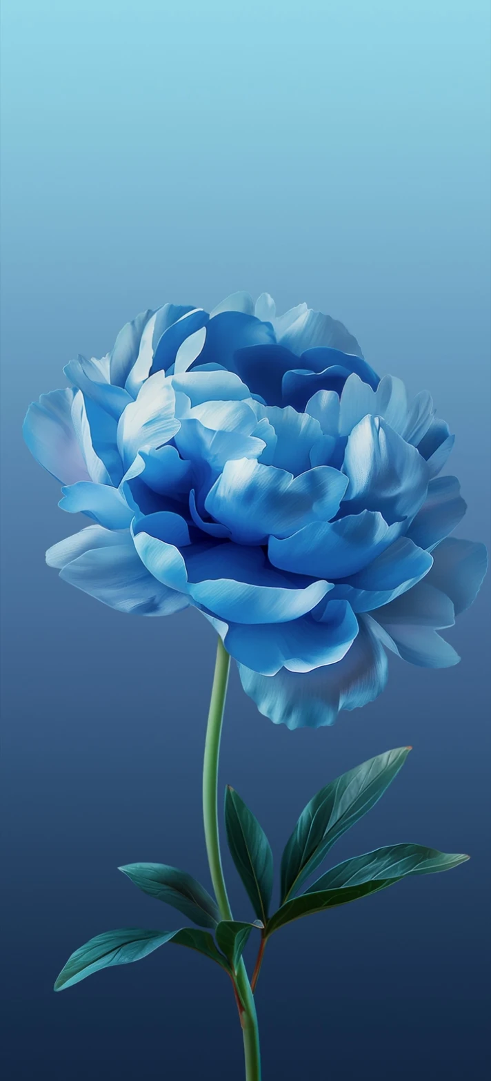 Blooming Blue Peony Flower - Digital Illustration iPhone Wallpaper (712x1566)
