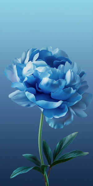 Blooming Blue Peony Flower iPhone Wallpaper Background