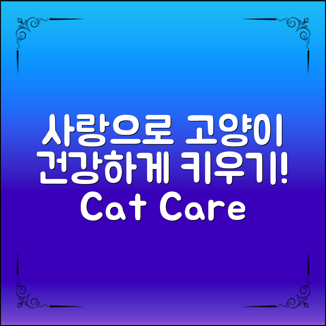 고양이노묘관리법: 사랑으로 건강하게 키우기