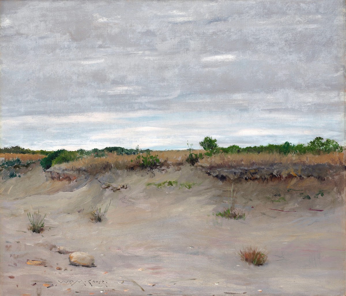Wind Swept Sands 1894