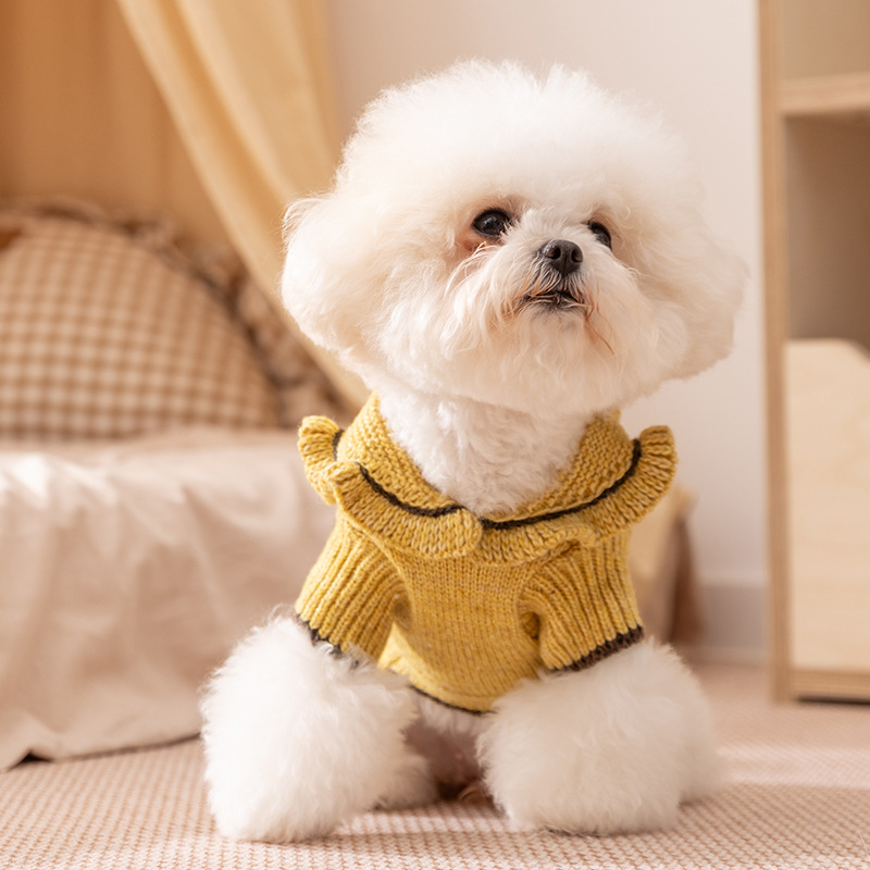 Knit sweater for dogs, Autumn/Winter