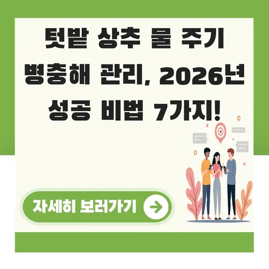 텃밭 상추 물 주기 병충해 관리