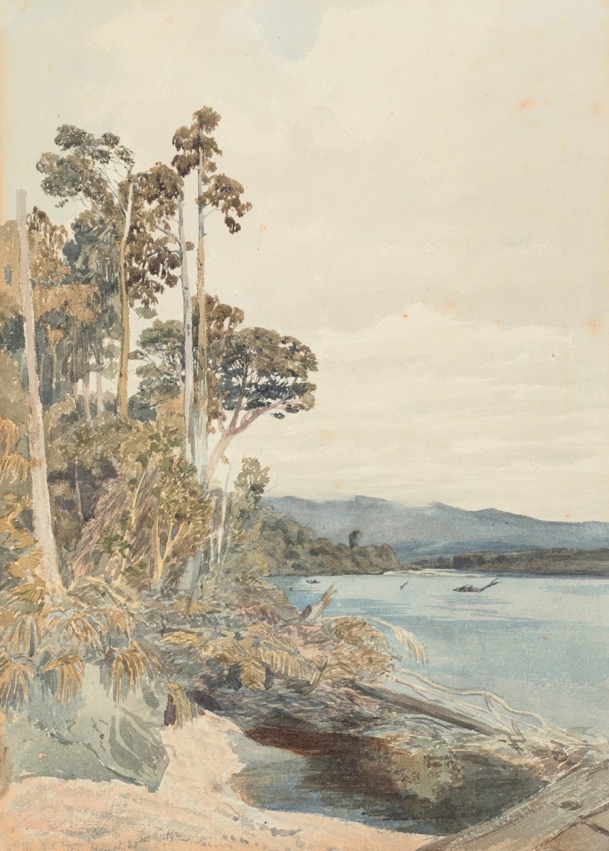 On the North East bank of the Buller 1862