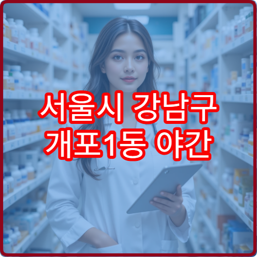 서울시 강남구 개포1동 야간 약국 주거 밀집지역 심야 약국