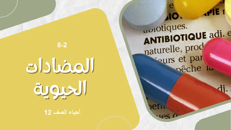 صورة الغلاف