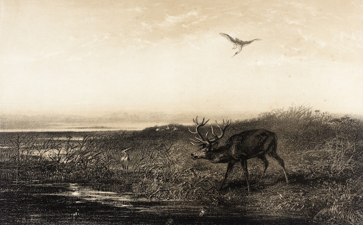Le Soir Cerf et Herons Evening Stag and Herons 1858