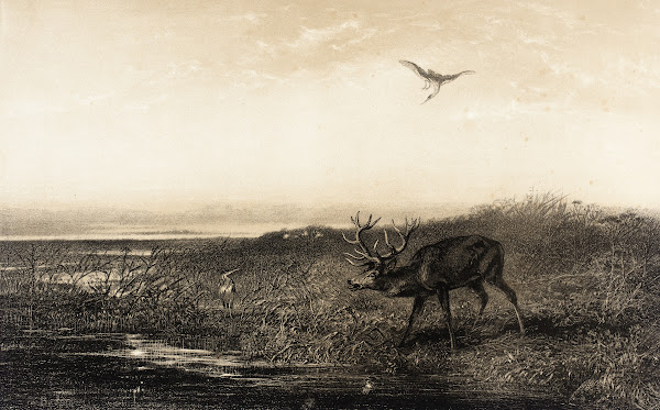 Le Soir Cerf et Herons Evening Stag and Herons 1858