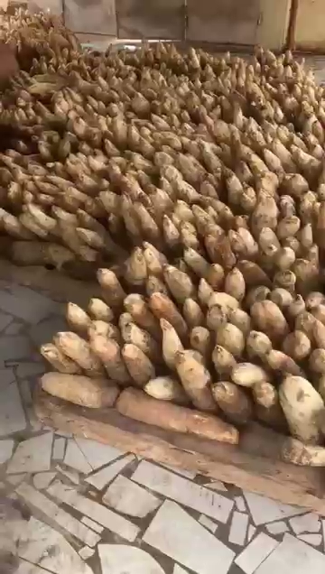 Yam drying