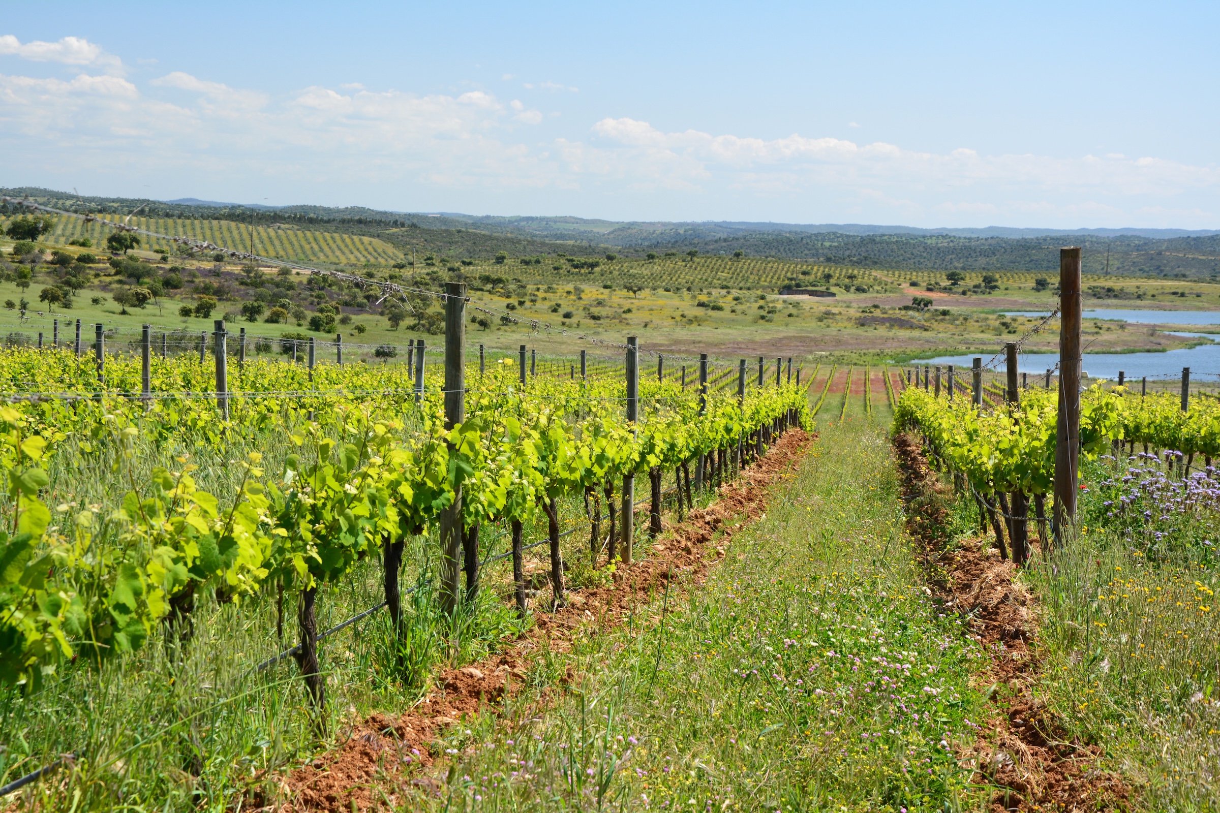 A 4-Day Romantic Escape to Sintra & Douro Valley