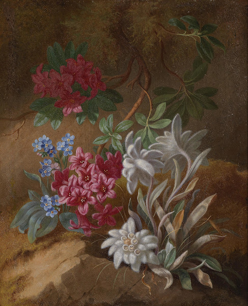Alpenblumen