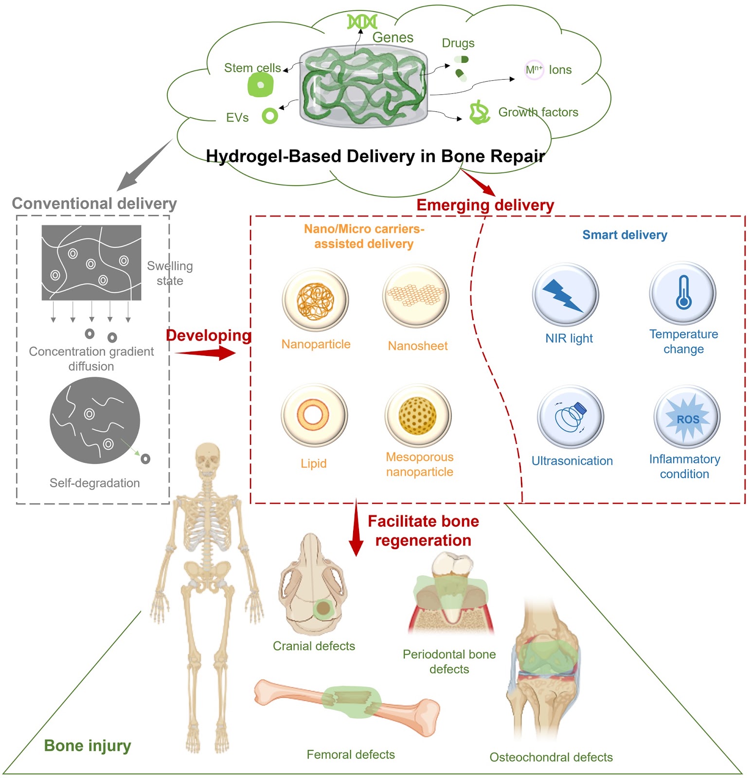 Recent Strategies and Advances in Hydrogel-Based Delivery Platforms for Bone Regeneration