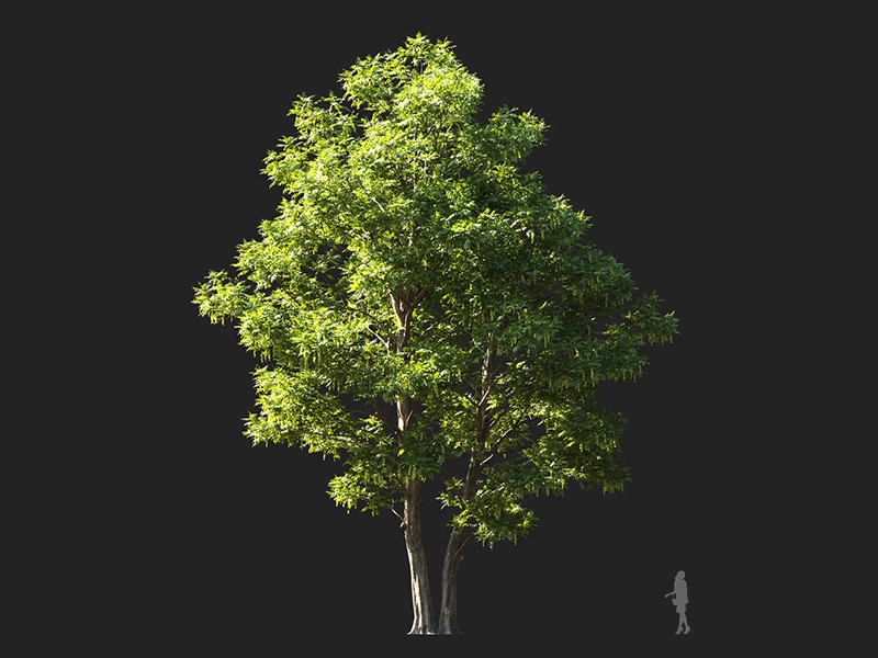 Maxtree - Plant Models Vol.132