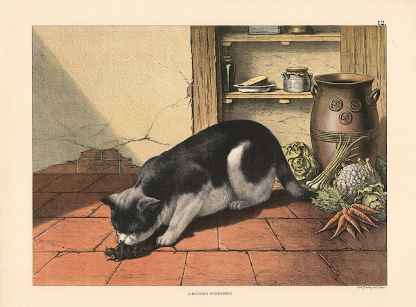 Cat And Mouse 1910