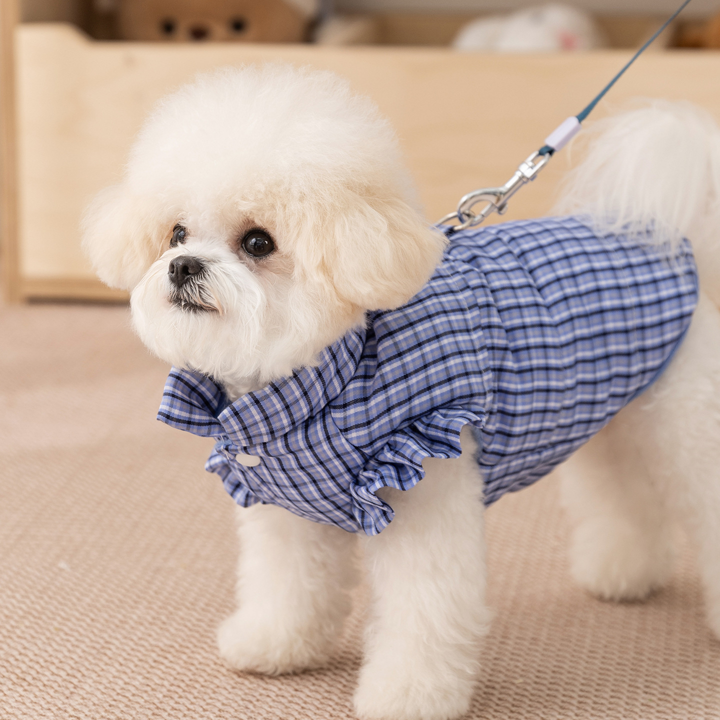 Dog jacket, plaid pattern, with leash, cotton