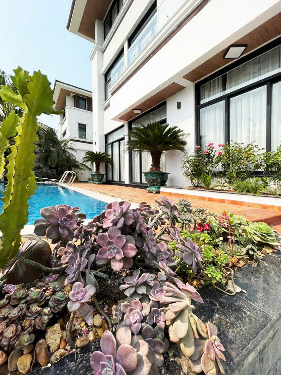 Villa Hạ Long BT6B-40 6PN - ảnh 3