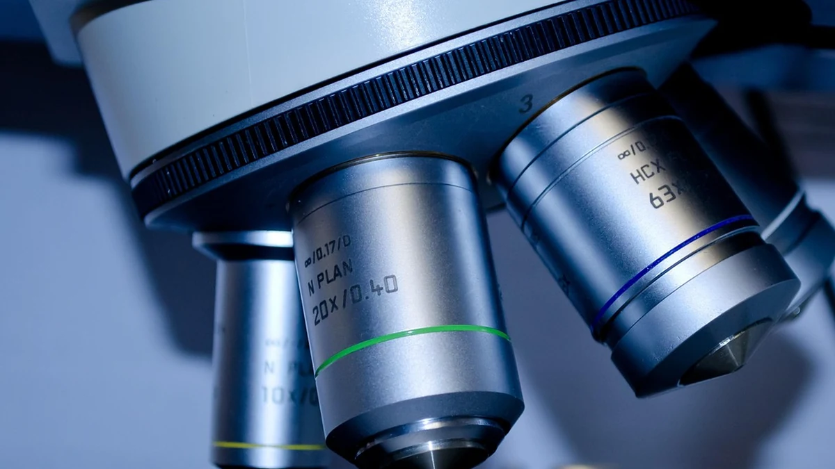 무료 AI 도구의 기술적 한계와 유료 서비스와의 구조적 차이