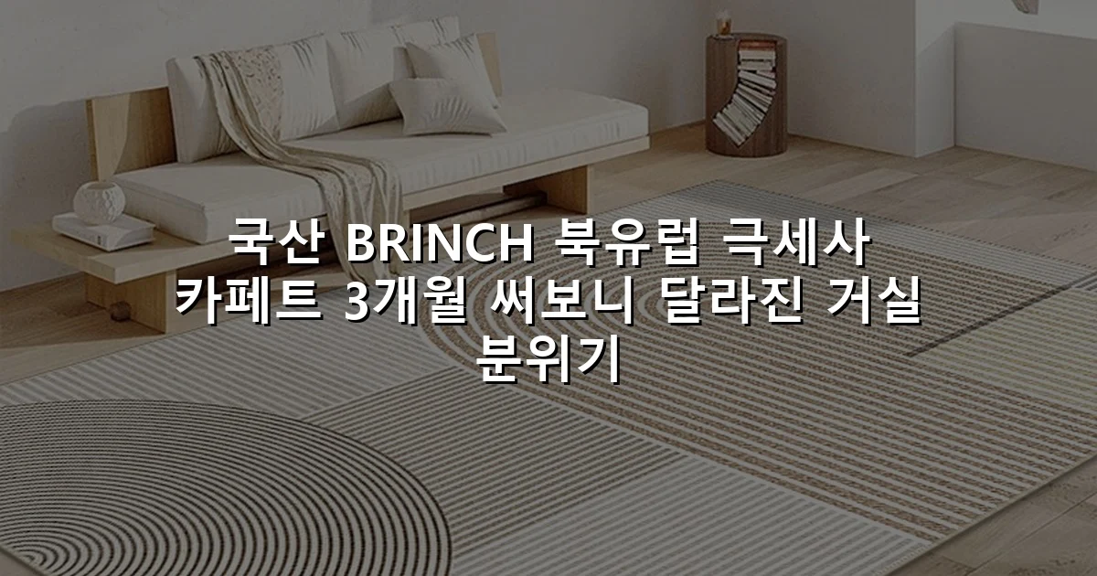 국산 BRINCH 북유럽 극세사 카페트 3개월 써보니 달라진 거실 분위기