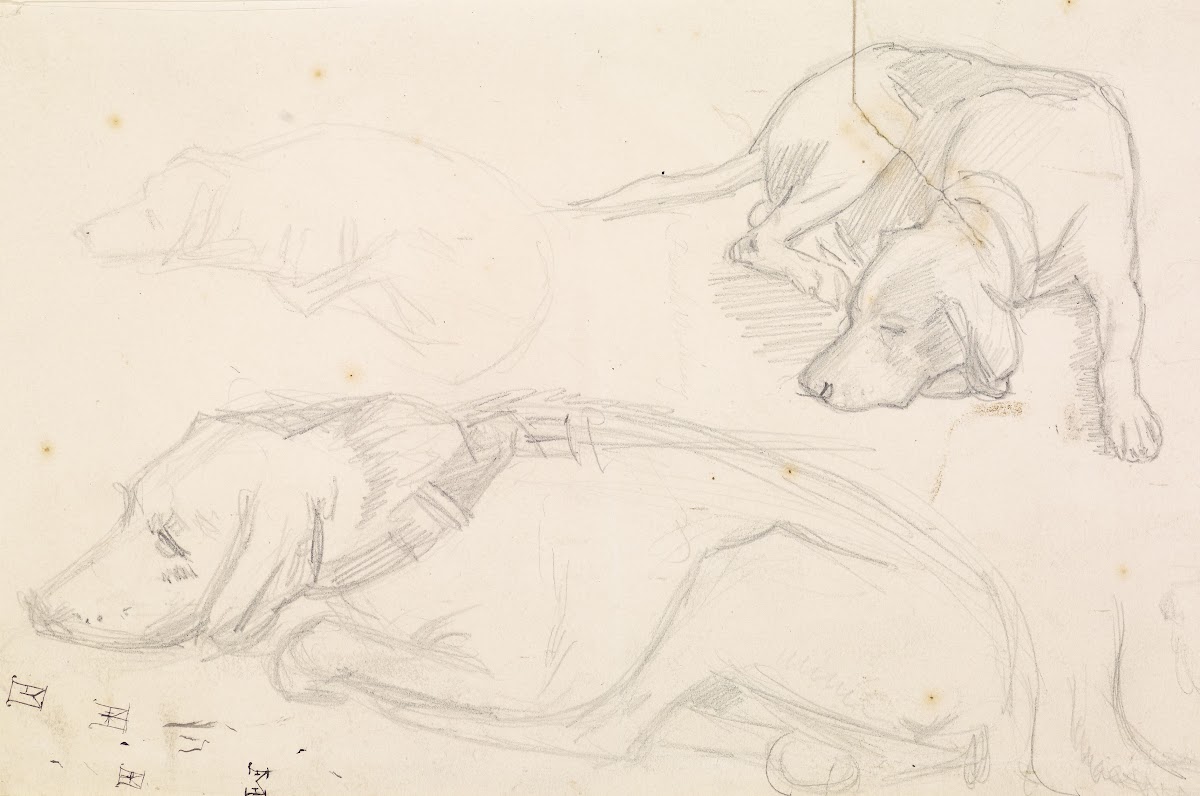Three Studies of a Sleeping Dog 1848 49