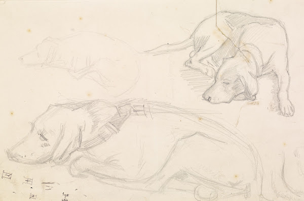 Three Studies of a Sleeping Dog 1848 49