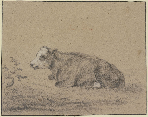 Lying cow to the left
