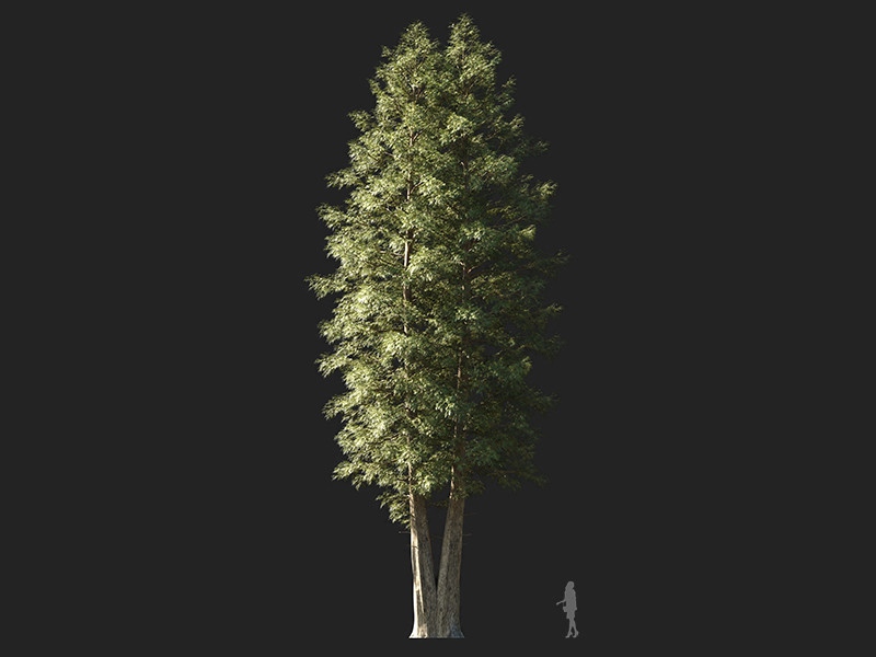 Maxtree - Plant Models Vol.132