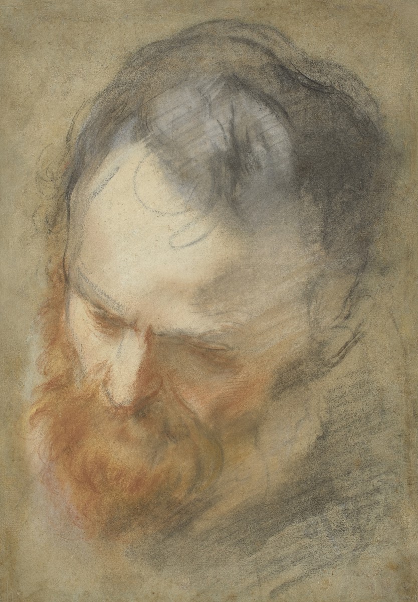 Head of a Bearded Man 1579 1582