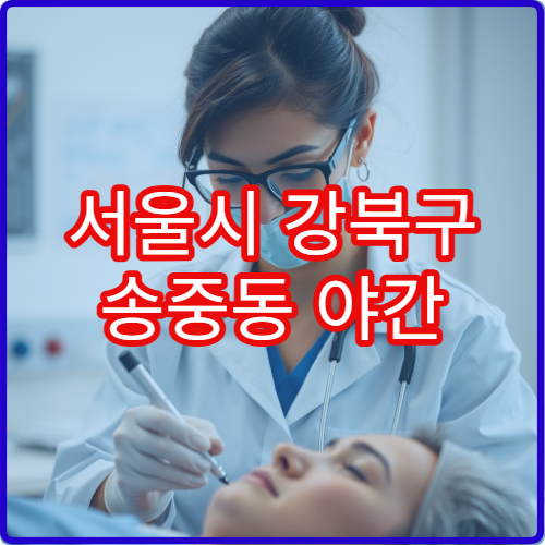 서울시 강북구 송중동 야간 피부과 모공·리프팅 시술 병원