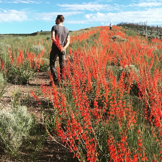 On-site ash scattering — National Parks