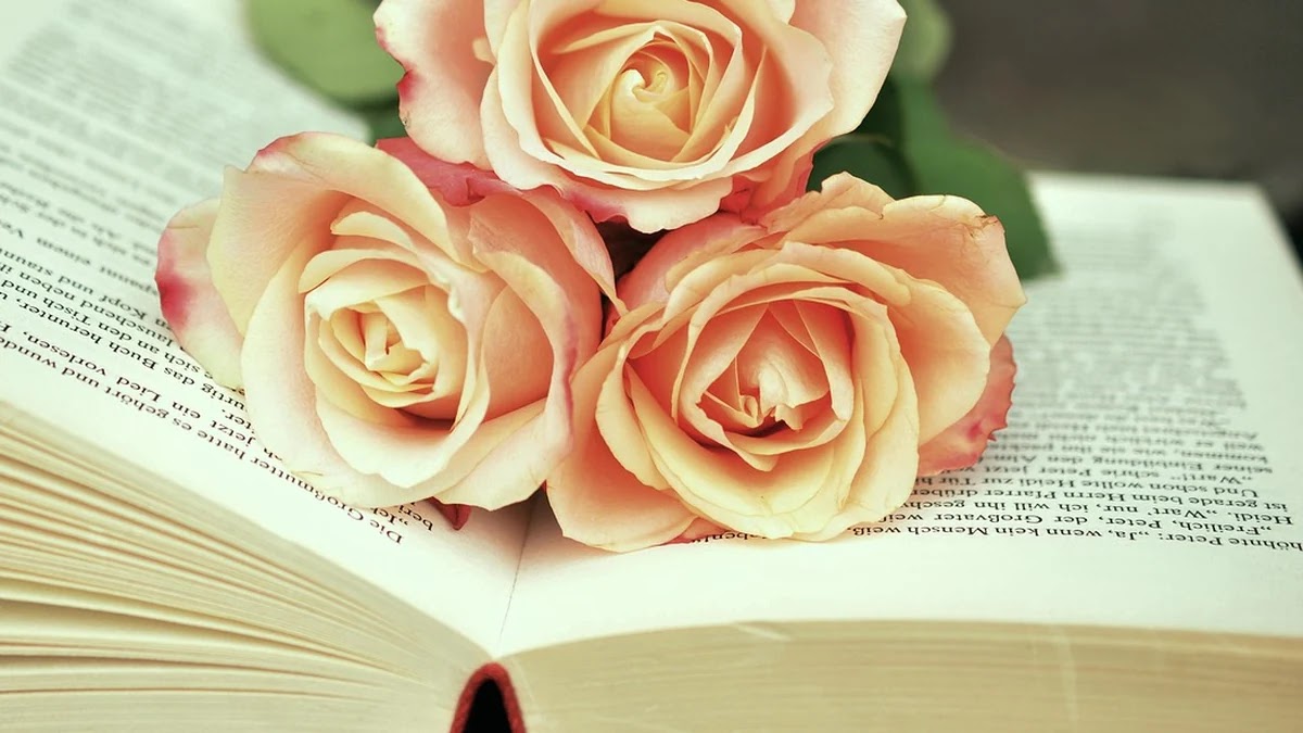 책 요약 앱 비교와 활용법: 독서 시간을 줄이고 핵심만 챙기는 방법