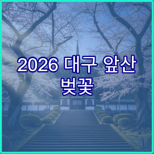 2026 대구 앞산 벚꽃 피크닉 매트 대여 존과 가족 편의시설 위치