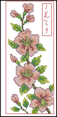 CMP 171555 Pattern