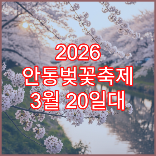 2026 안동벚꽃축제 3월 20일대 초집 중기 방문 꿀팁