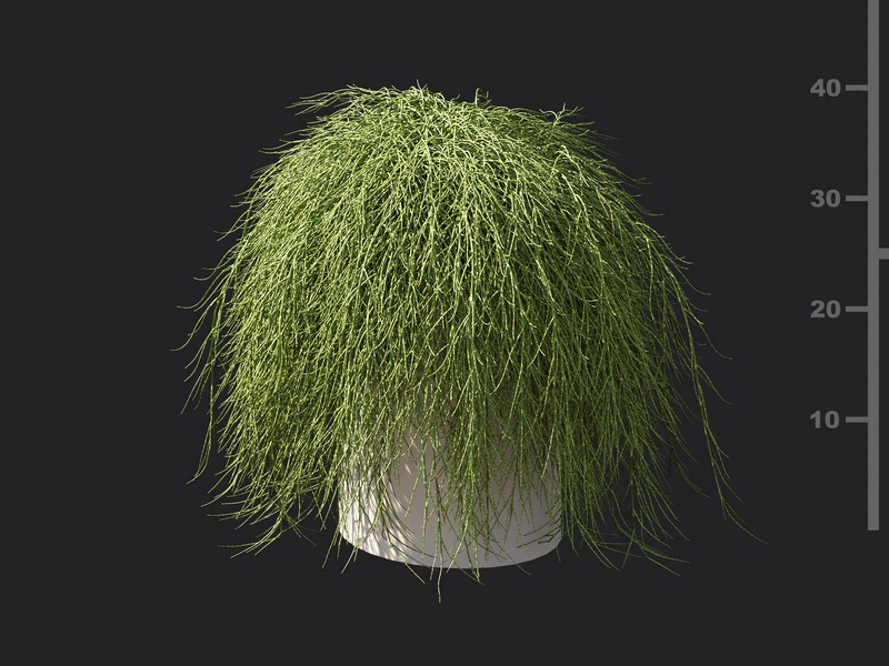 Maxtree - Plant Models Vol.119
