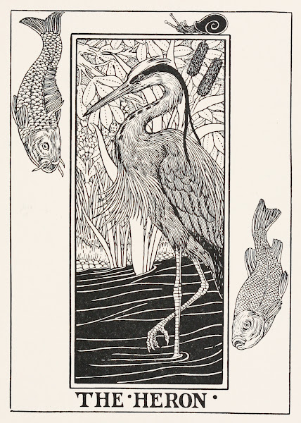 The Heron 1900