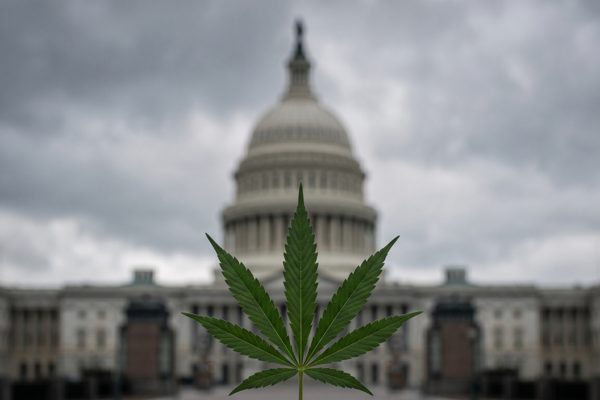 A cannabis leaf in front of the United States Capitol