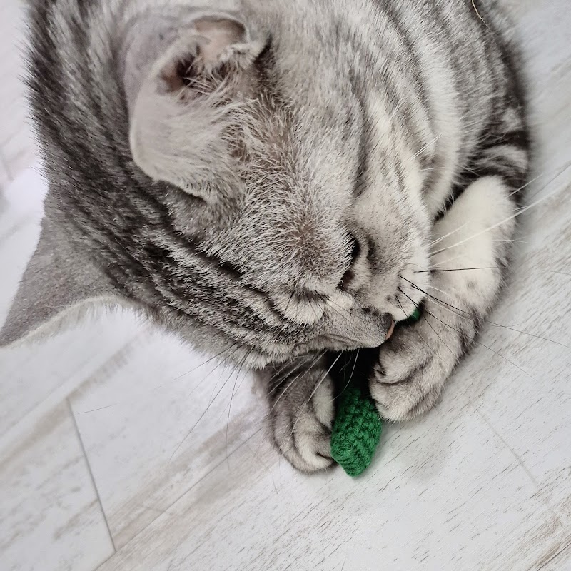 평범함은 이제 그만! 2026년, '나'를 위한 특별한 핸드메이드 아이템을 찾는 당신에게