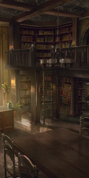 Library, Interior, Bookshelves, Study Full HD Wallpaper Background