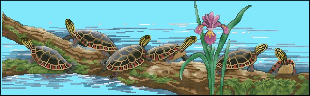 CMP 290066 Turtles