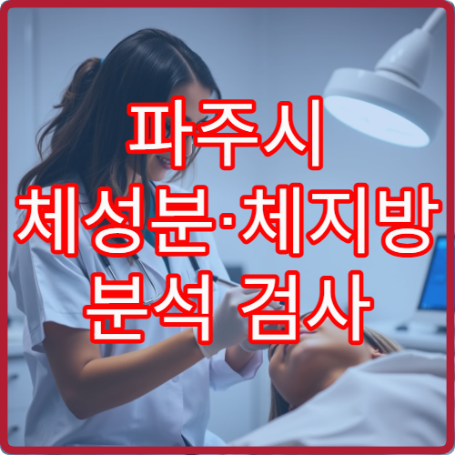 파주시 체성분·체지방 분석 검사 및 건강 관리 병원 정보