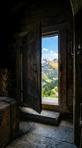 Minimalist Potted Plant Against Neutral Wall