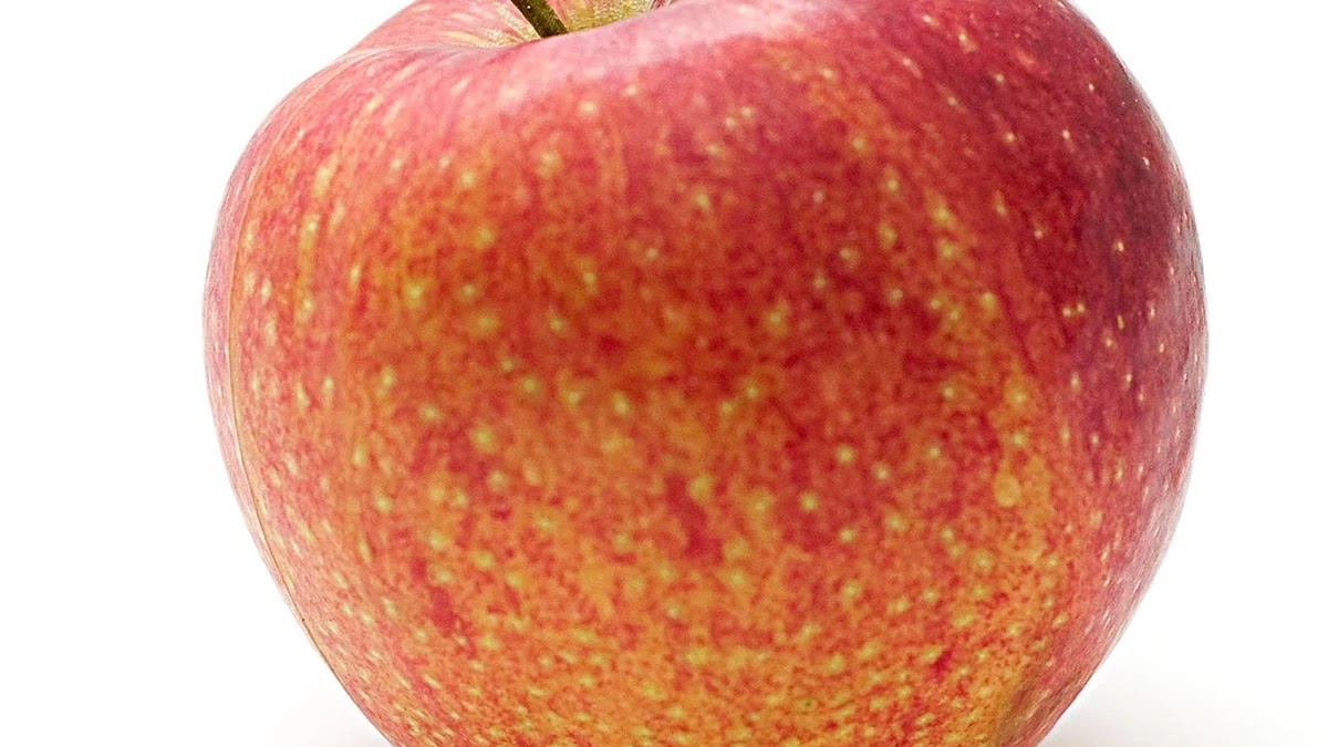 건강한 간식과 간식의 차이, 자취생 필수 TMI