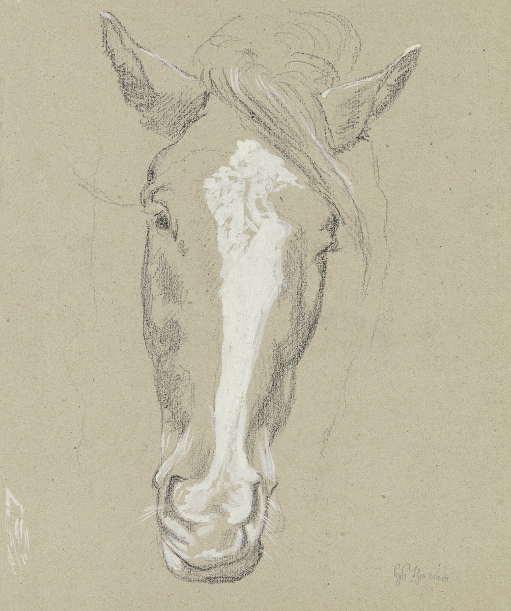Horse head