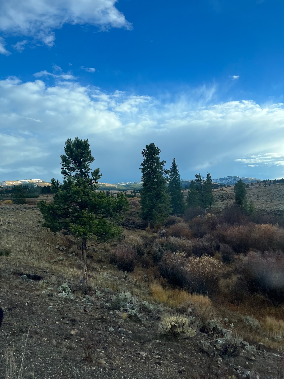 Tessa McGuire at National Park — Bonaventure strategic partnerships director