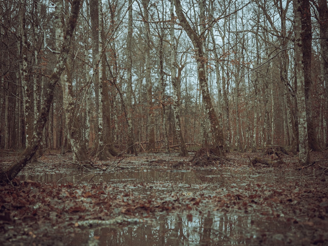 인생샷 100% 보장! 할미바위와 함께하는 꽃지해변 숨겨진 포토존 TOP3