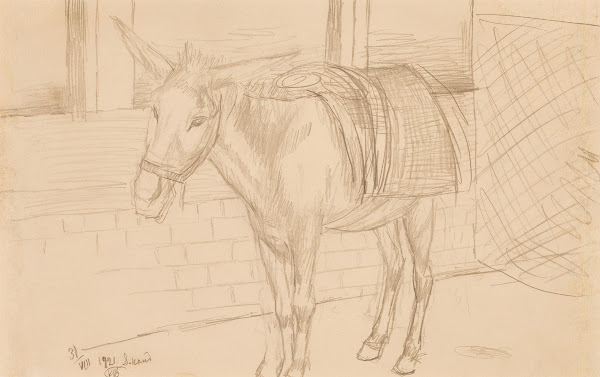 Donkey 1921